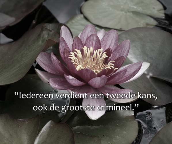 ab40w's tweet photo. Eens of oneens? #ab40w http://t.co/CDrvJ2xAcr