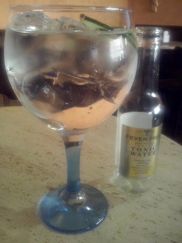 SlowGourmet's tweet photo. “@Javier__MG: @HendricksGin_ES con @FeverTree_ES y pepino, para una sobremesa con gusto ;)  #gintonic cc: @Cachirly http://t.co/Byonzj9r9c”