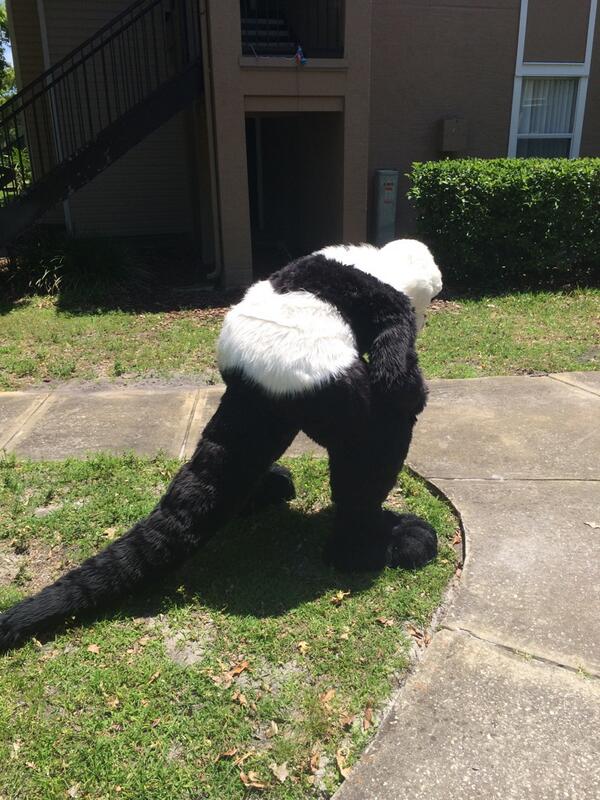 🙀🙀🙀🌷🌷🌷 #FursuitFriday