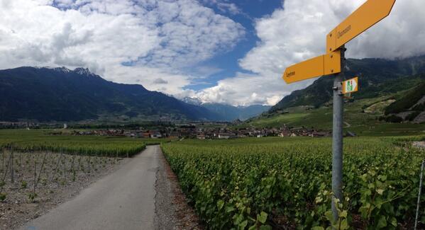LeytronVS's tweet photo. Découverte du vignoble en #ebike. Test gratuit depuis la zone accueil. #coleytron14 #valais http://t.co/Yy5g4RjvgY