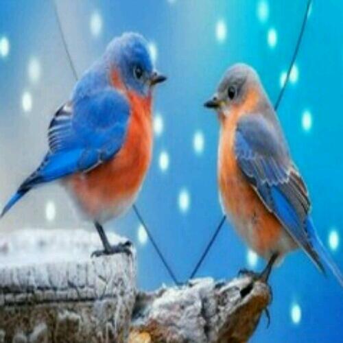 reddyravikumar4's tweet image. 