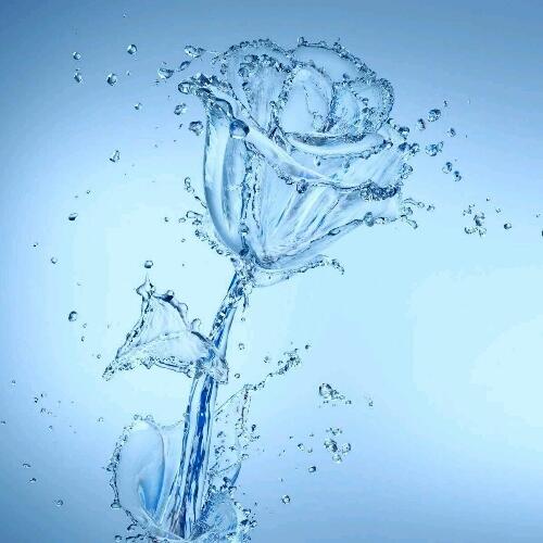 reddyravikumar4's tweet image. 