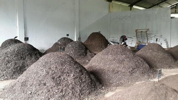 Sampah organik yg sdh dipilah di rumah tangga diproses menjadi pupuk kompos di UPS merdeka 1 Kota depok.....