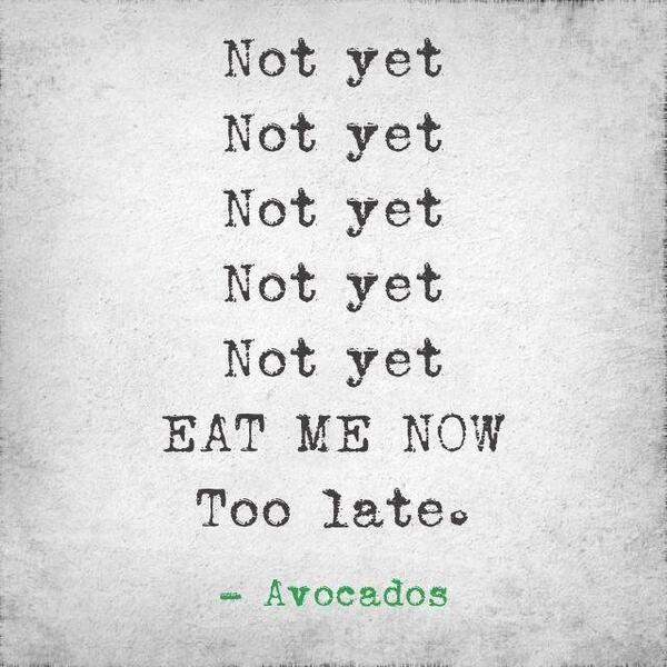 innocent's tweet photo. When to eat avocados http://t.co/010MBukspC