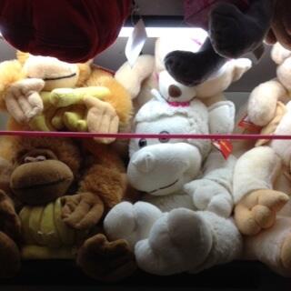 iOSDev5's tweet image. Kapee's Gallery - Offer
Soft Toys
Huge collection of soft toys in