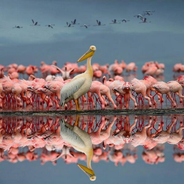 "Yes I'm Just fine" by Yong Gu #FF  #CGE