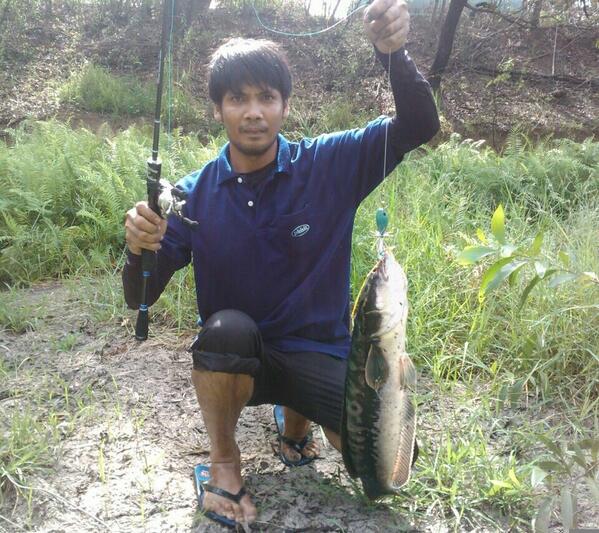 pioneer fishing tackle