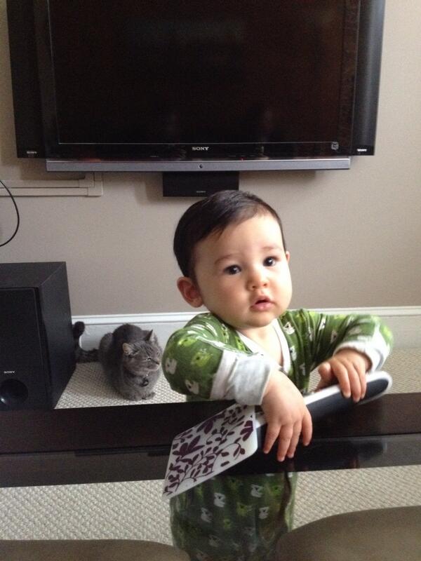 BoheySquints's tweet image. I don't know what this slightly bigger crawling cat is but I think I like her #FriendlierThanLola