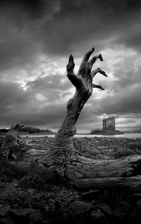 Cristianricardo Cimp tweet media