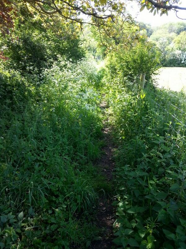 bathamptonpaths tweet picture