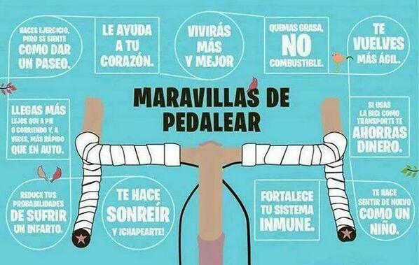 bsasenbici's tweet photo. Las maravillas de pedalear. #Bicicletas @bsasenbici por @Laoncediez sábados 1 AM. http://t.co/tvq6EvSWXE