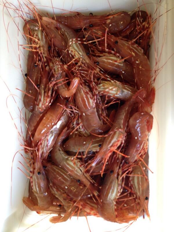 fishcafe's tweet image. These are going to make lots of people HAPPY today.