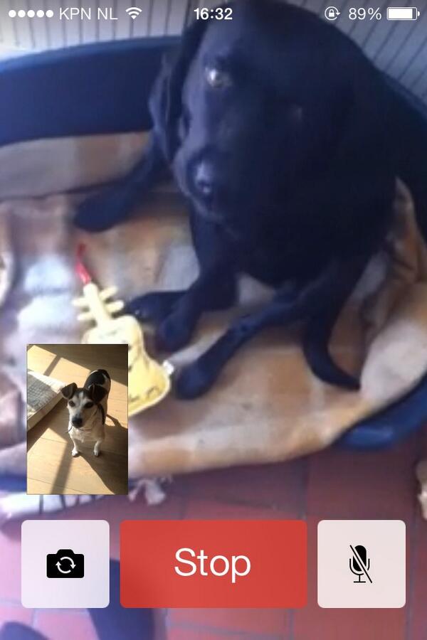 En dan facetimed @loiseversxx je omdat ze zich verveeld en home alone is 😹