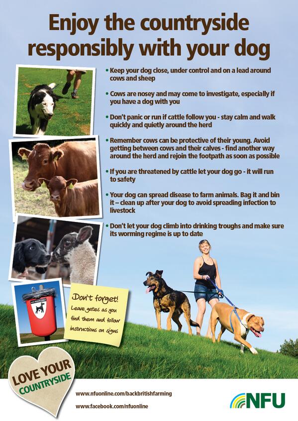 NFUtweets's tweet image. Please share our poster to encourage dog walkers to act more responsibly when out in the countryside