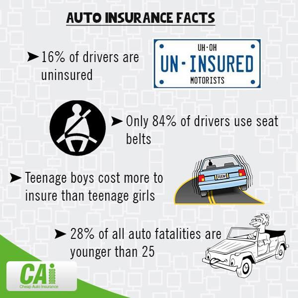 CAIQUOTE's tweet image. Auto Insurance Facts!
cheapautoinsuranceco.com
#autoinsurancefacts #cheapcarinsurance