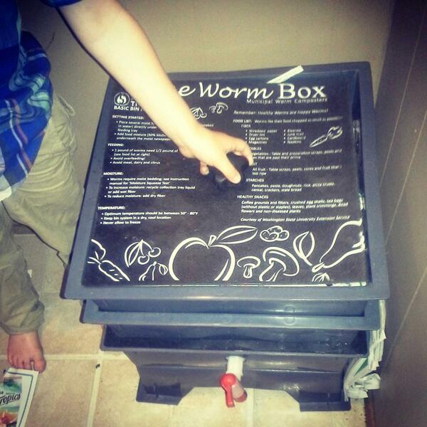 RobertsKamloops's tweet image. Feeding his worms and adding bedding. #wormcomposting  @AT_Organic