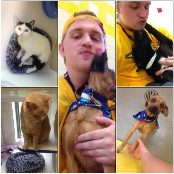 SeanOKeefe's tweet photo. I can't believe this counts as volunteering! Kills me every time! #... http://t.co/d24QLQjbFB http://t.co/rDemGWGm0p