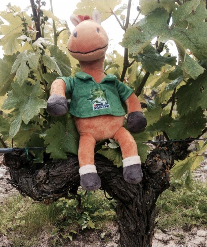 Permalien de l'image intégrée