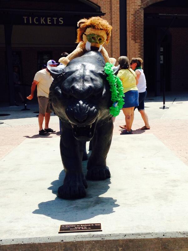 BurattK's tweet photo. Lion Up! #King of the Jungle! http://t.co/VYHLho51zK