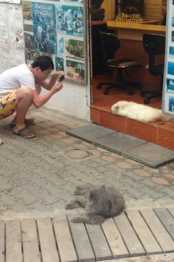 annalieselily's tweet photo. Chinese tourists that wear crocs find those special shots ordinary people overlook #dericious http://t.co/lb3VvCe2dN