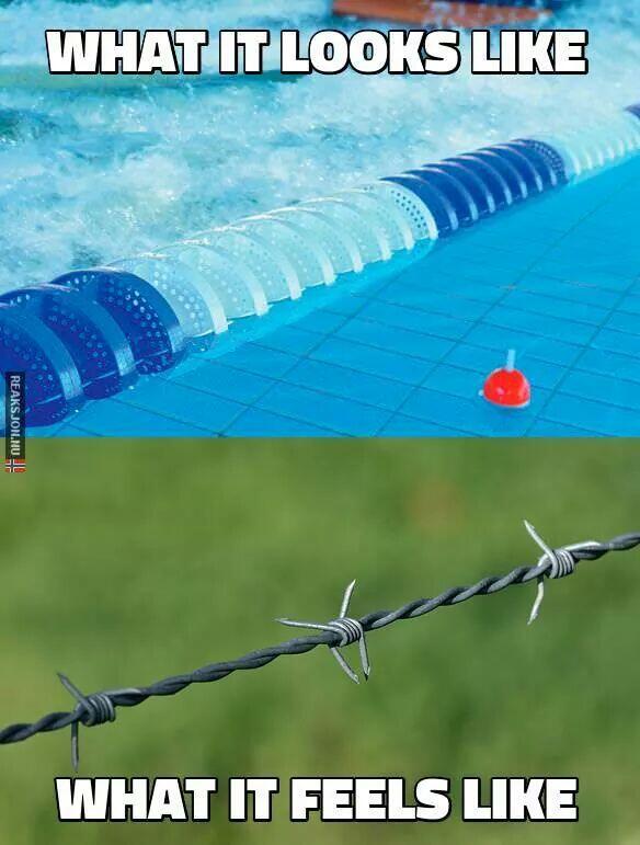 MidwestBelle18's tweet photo. So true @swimmerproblems @SwimmingO http://t.co/dkA9ZoOUlV