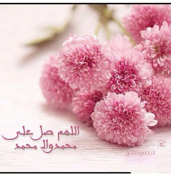 Ali007Abo's tweet photo. صلوا عليه . http://t.co/Y7eIxLY1d0