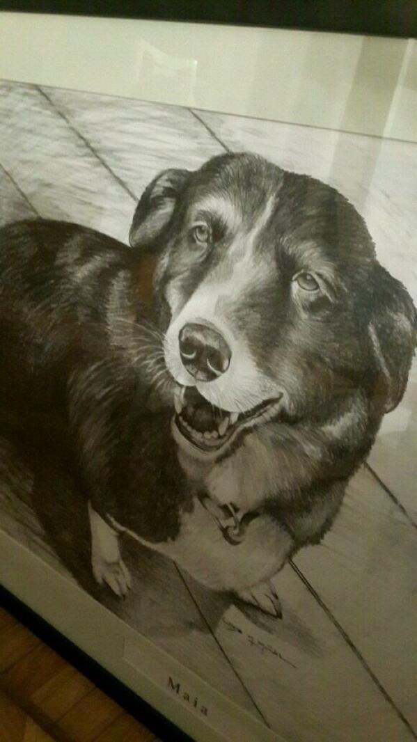 anitateatro's tweet photo. Les comparto el dibujo que le hizo Jose Maria Muñoz a @cuervotinelli  de su perra Maia.
Gracias @refuasis http://t.co/ZJJjlAzOB0