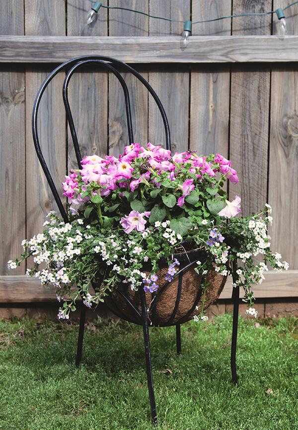 HomeDepot's tweet photo. #FlowerFriday idea: turn an old chair into a flower display! http://t.co/PfPaXrCTaE @inhonorofdesign #StyleChallenge http://t.co/OQZ8yEjLEo