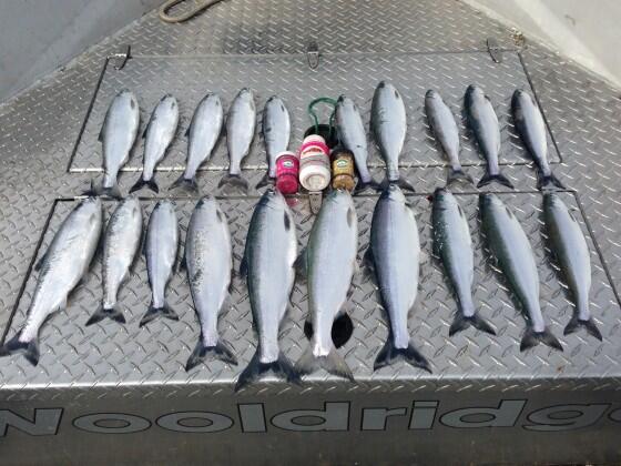 FethaStyx's tweet photo. Brad Wagner has had a great kokanee season but, he says "this summer will be insane!"  http://t.co/6qkhGR6m9A http://t.co/kmNxjAAn0s