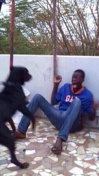 Maley_B's tweet photo. “@FunnyPicsDepot: don't worry he don't bite" http://t.co/avEH2OqCBX”