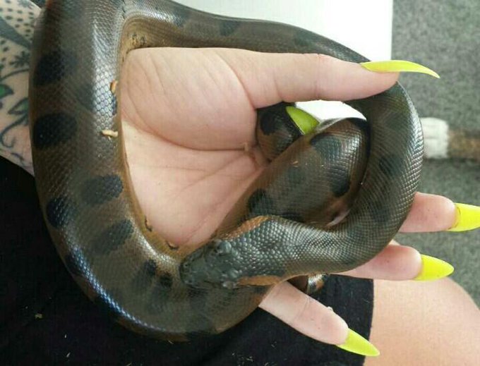 Little baby Kermi http://t.co/ffCIdDeXyv