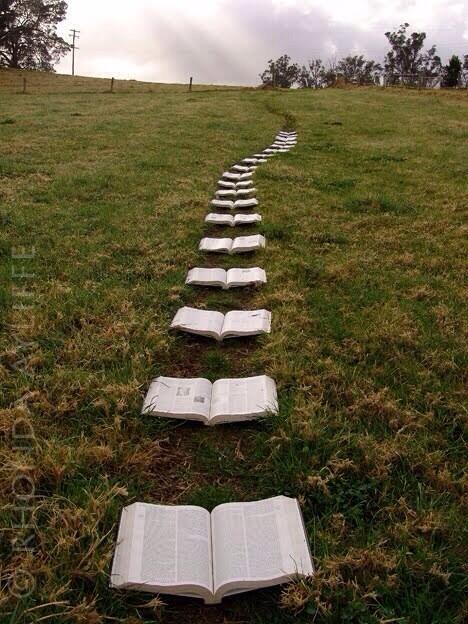 A path of bibles open showing quotes of love. That's super romantic! 💍❤️