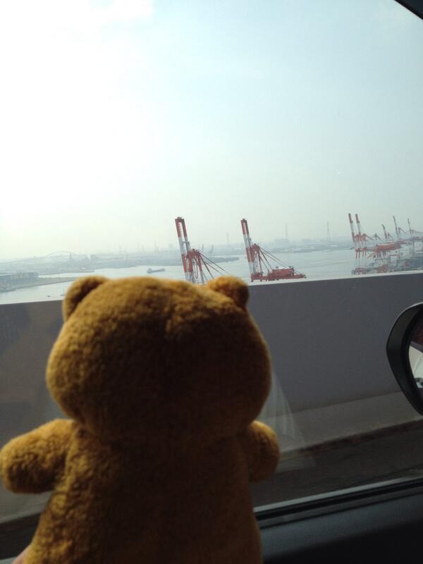 rascalmagic1's tweet image. なんやここ！？きりんめっちゃおるやん！