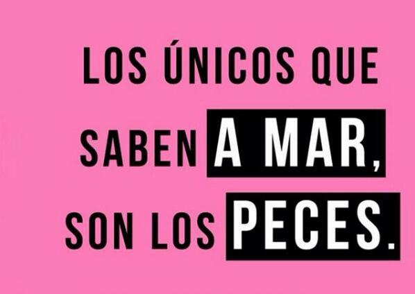 subversivos_'s tweet photo. #ElMundoDebeSaberQue
Los únicos que saben A mar son los peces. http://t.co/5oNhJmxoAw