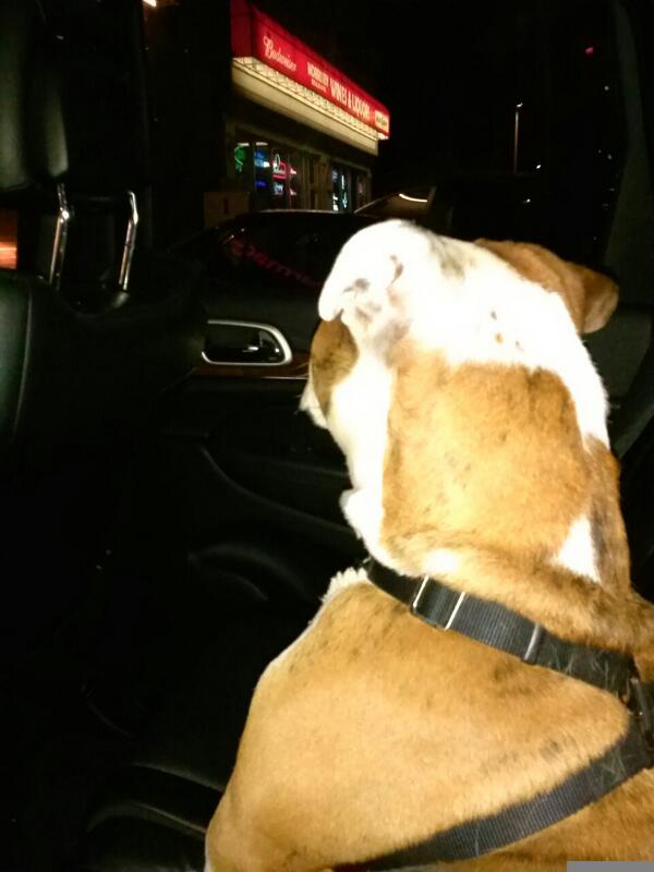 SCWrinklepuss's tweet photo. Car trip! http://t.co/BlIOiblbY7