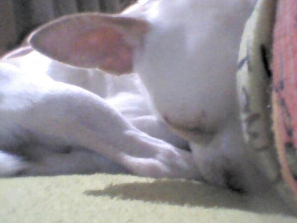 AlbiDC tweet picture