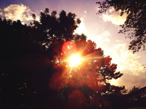 PicCapture's tweet photo. ☀️ #sun http://t.co/SbgLEUpbIo