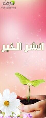 ali_rajhi82 tweet picture