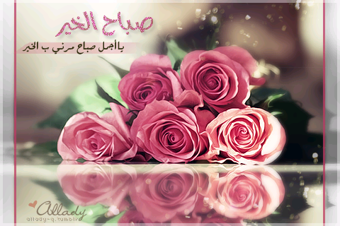 ebac54dad99d4ec's tweet photo. http://t.co/wTV4YG1w1s