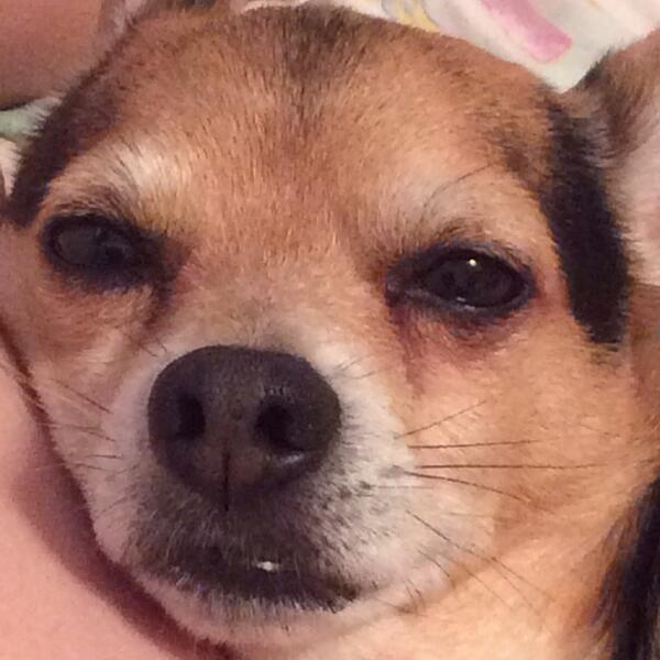 itslegitariana's tweet image. #probemvideo #WatchProblemOnVEVO do it because my dog says so