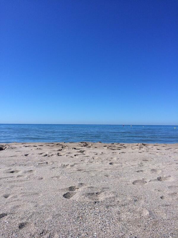 Becky Pead tweet media