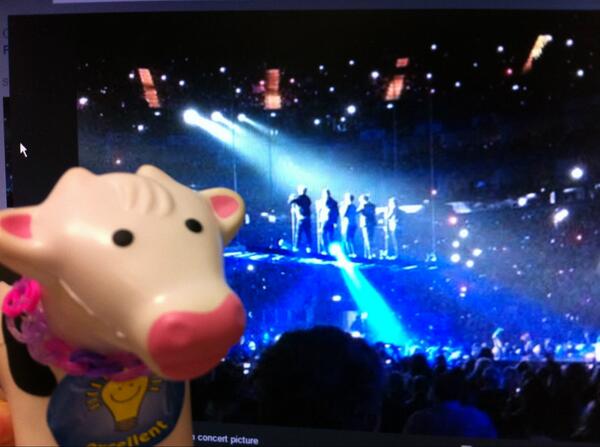 NephrologyCow's tweet photo. I LOVED the 1D concert last night http://t.co/ZRw0WVti5m