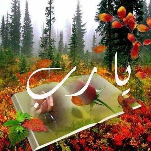 يوسف الشمري (@khalilm33812581) on Twitter photo 