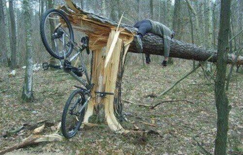 RT <a href="/ernstvall/">Ernst v. All</a>: Förster beklagen zunehmende Schäden in den Wäldern durch rücksichtslose Mountainbiker