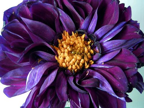 nausmani's tweet photo. http://t.co/VaqrP7ePjn