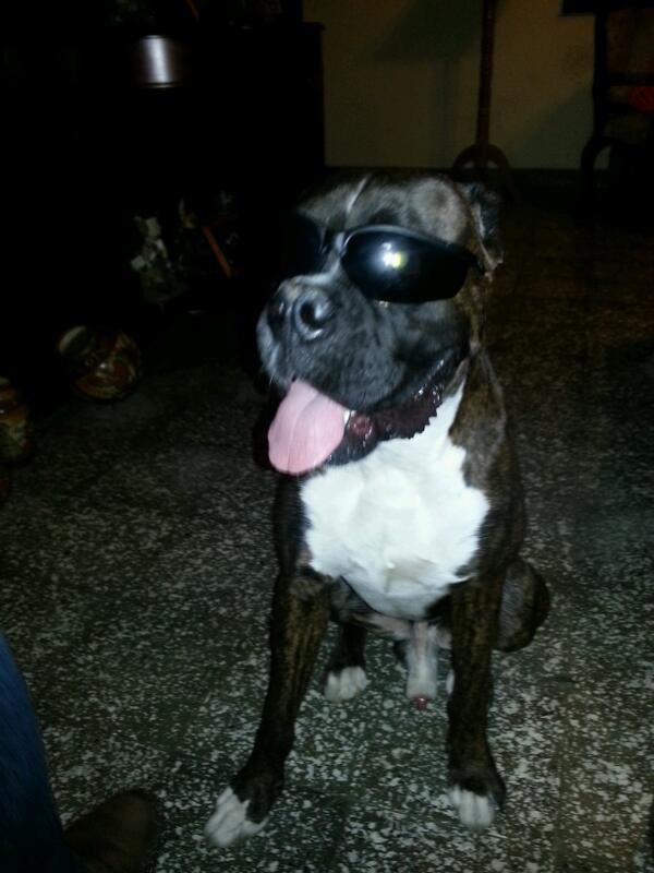 Eg2ar's tweet photo. Chilling.. esperando por las perras.!! http://t.co/xycnvfhnxd