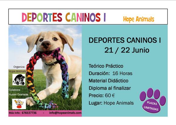 Hope Animals tweet media