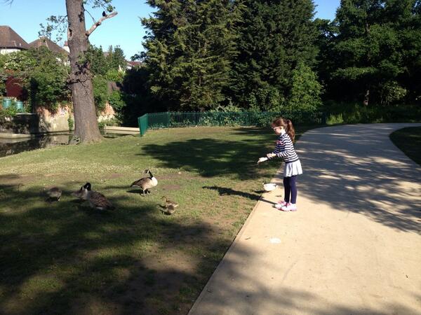 schullerinc's tweet image. Feeding the ducks #raphaels #runcomplete
