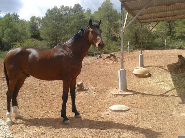CHlaFou's tweet photo. Aprofitarem el solet una estoneta :-) #BonDia http://t.co/W6vMCg7r45