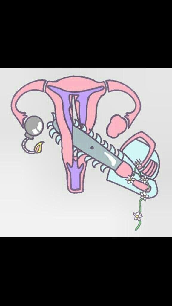 La regla, descripción gráfica: